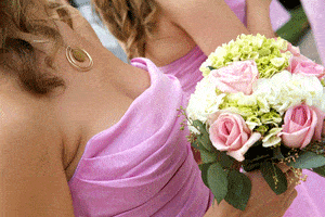 breast-augmentation-landolakes-bigstock-brides-maids